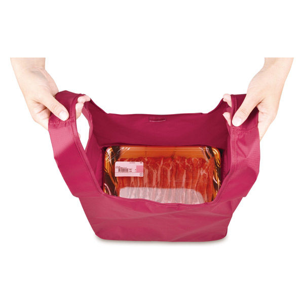 サーモス（THERMOS） ポケットバッグ 23L ワインレッド REX-023 WNR 1