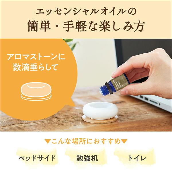 プリヴェイル アロマライト/日本香道 インセンスボウル/デイリーディライト エッセンシャルオイル ティーツリー 3点 Amazon.co.jp: デイリーディライト エッセンシャルオイル ティー