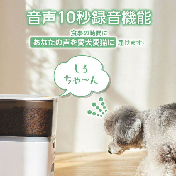 自動給餌器 猫 中小型犬 6L 2匹用 録音可 タイマー式 ステンレスボウル 2個 ブラック PET-AF02BK エレコム 1個（直送品） -  アスクル