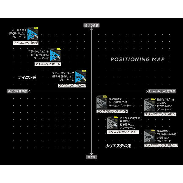 DUNLOP エクスプロッシブ・スピン DST11001 ダンロップ 硬式テニスストリング