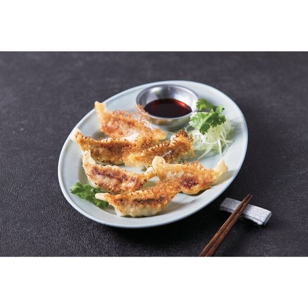 牛一 鹿児島黒豚生餃子 10113951 1個（直送品） - アスクル