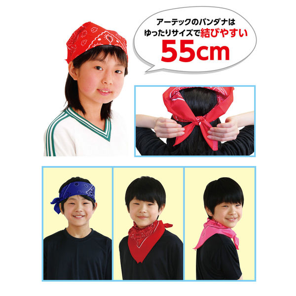 赤と青のバンダナ 6枚セット 赤と青のバンダナ 6枚セット