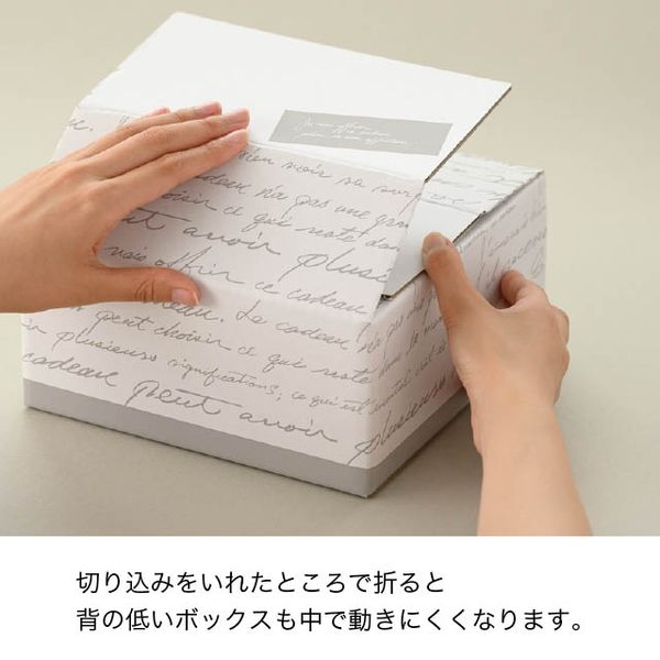 プレミアムペンタンBOX 新規カード　各3枚 宅配箱 BKF デリバリーカートン-2(10枚) ヘッズ | テイクアウト