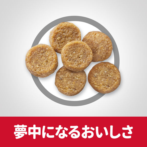 キャットフード サイエンスダイエット 猫 アダルト チキン 1.4kg