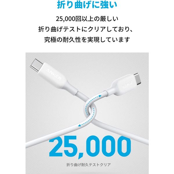 Anker USB Type-Cケーブル 3m - USB-C[オス] PowerLine 1本