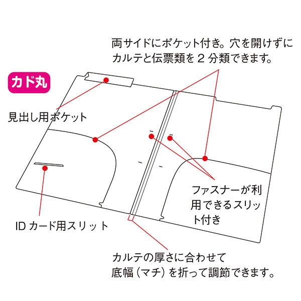 Ilsta ×2 0901 オーダーページ 金鵄製作所 カルテフォルダー ダブルポケット A4サイズ UHK400 200枚