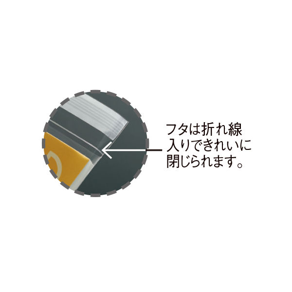 カクケイ 厚口OPP袋 0.06mm厚 テープ付き 長形3号封筒サイズ 透明封筒 1箱（10000枚：100枚入×100袋） アスクル