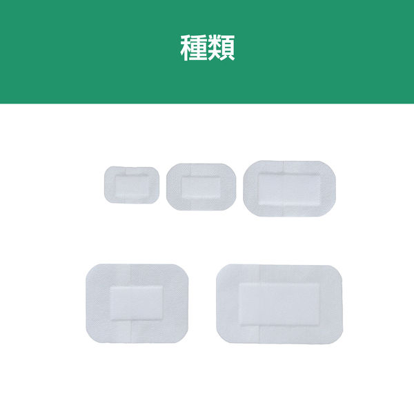 アルケア シルキーポアドレッシング 2号（50mm×75mm） 12001 1箱（50枚