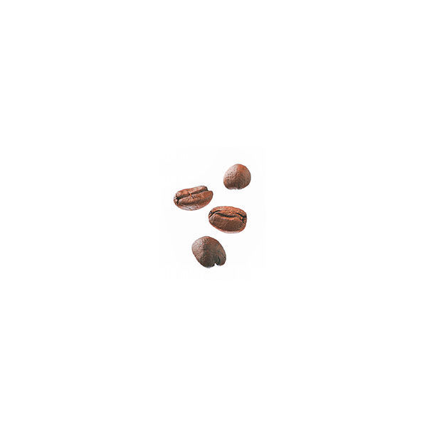 コーヒー豆】イリー（illy)ブレンド ミディアムロースト