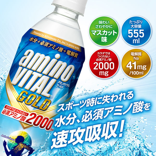 熱中症対策飲料 アミノバイタルGOLD 2000ドリンク 555ml 1セット（48本