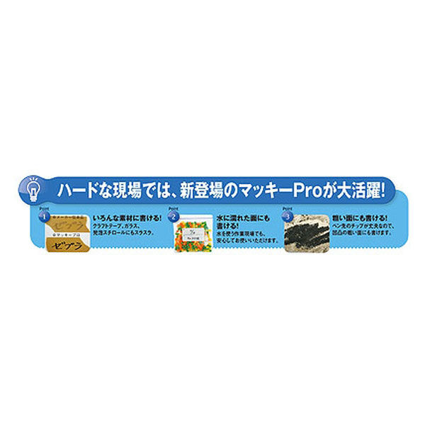 マッキープロ細字 特殊用途DX 黒 YYSS10-BK 油性ペン ゼブラ - アスクル