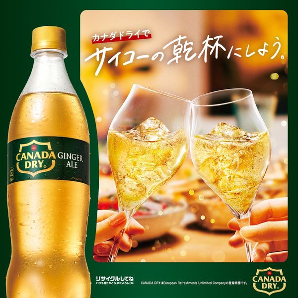 コカ・コーラ ジンジャーエール カナダドライ 500ml 1箱（24本入