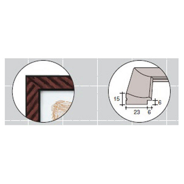 コクヨ 賞状額縁（金ラック） 規格A3 カ-RA3 - アスクル