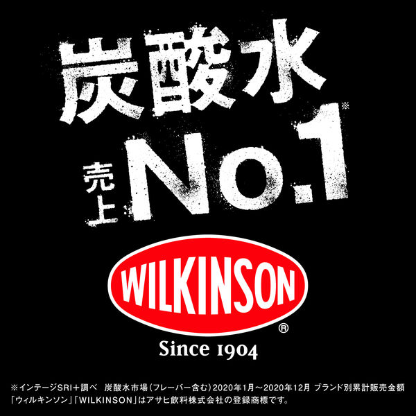 アサヒ飲料 WILKINSON（ウィルキンソン） ジンジャエール（辛口） 500ml 1セット（48本：24本入×2箱） - アスクル