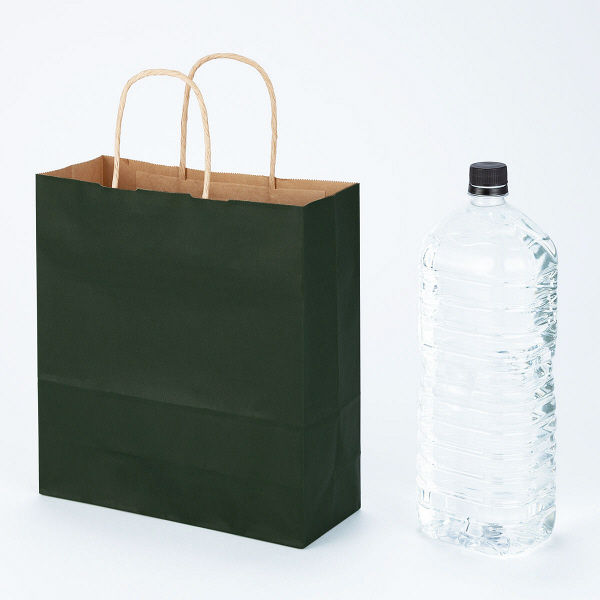手提げ紙袋 丸紐 ベーシックカラー 深緑 S 1箱（300枚入：50枚入