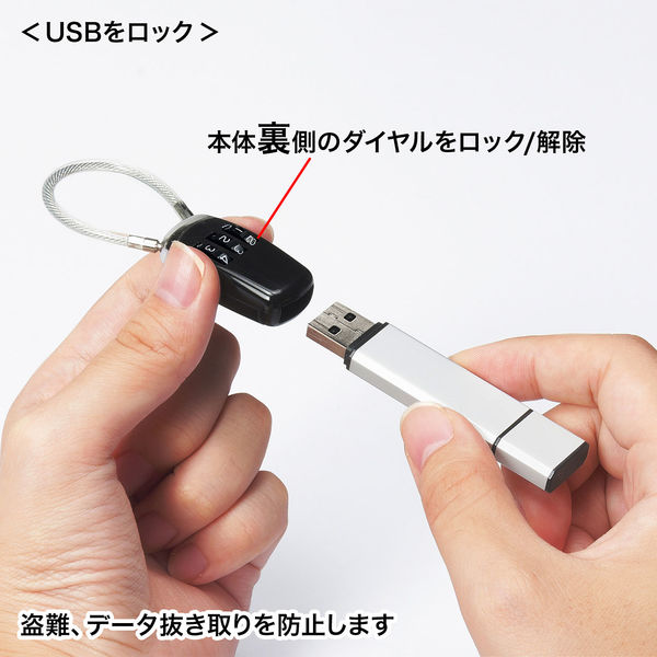 サンワサプライ USBメモリセキュリティ ブラック SL-69 1個 - アスクル