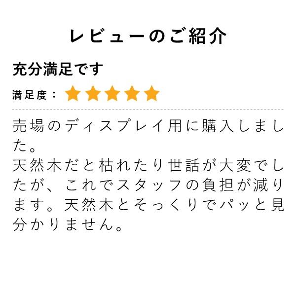 ストア・エキスプレス 立ち木（人工樹木） ベンジャミングリーン/ホワイト 人工観葉植物 インテリアグリーン 8724-306（直送品） アスクル