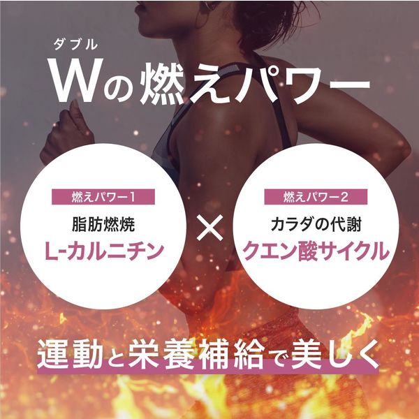 アルプロンスリム 燃え燃え ダイエットサポートサプリ