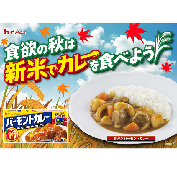 ハウス食品 バーモントカレー 辛口 1セット（3個）