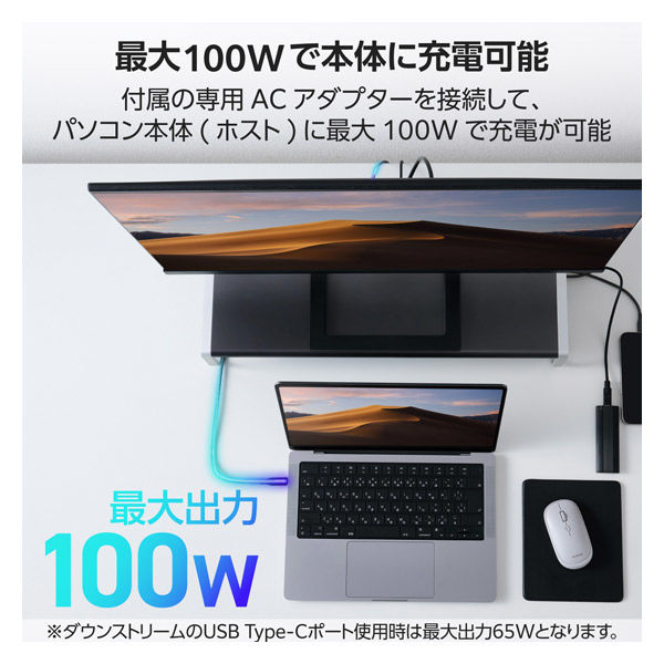 モニタースタンド型 ドッキングステーション 12in1 DST-W08