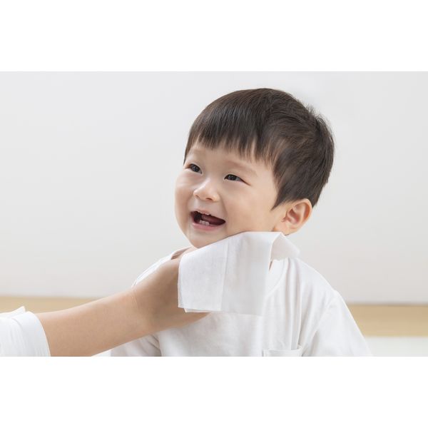 あんしん Genki! おしりふき 厚手 1パック（100枚入）アイリス