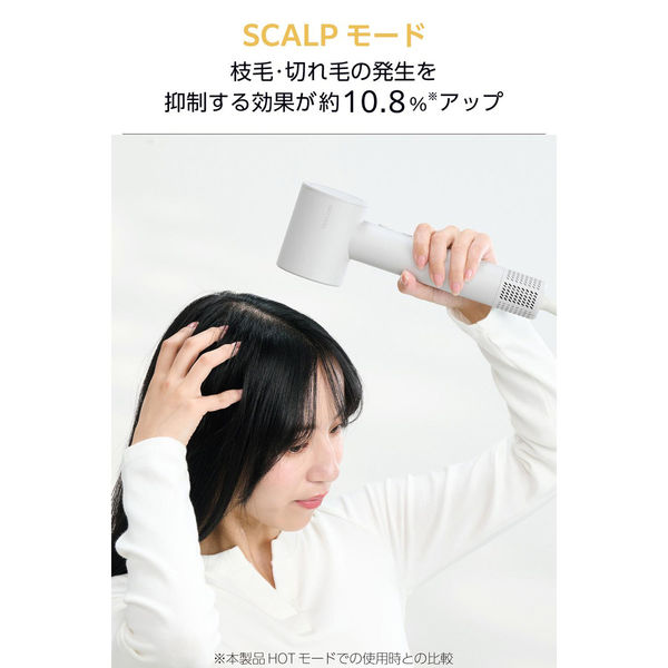 理美容器具 ハンドドライヤー マイナスイオン ディフューザー付