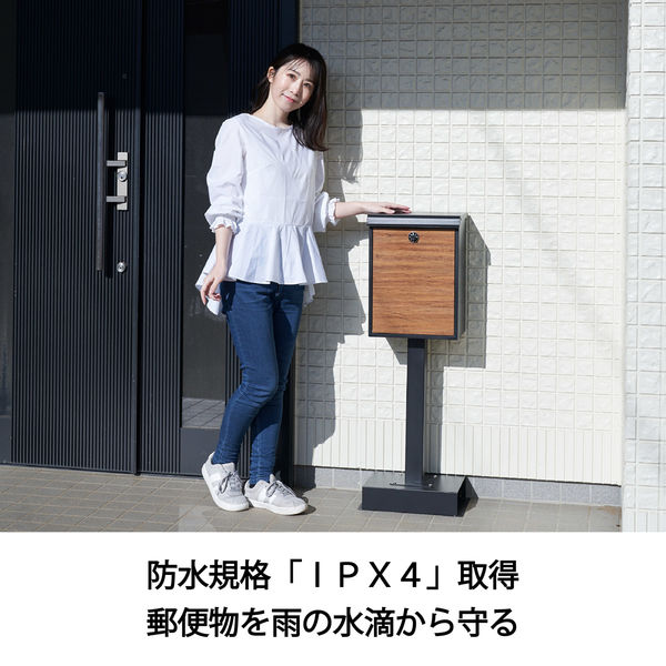 一五一会　ケース、スタンド、教本つき 最新作 最前線の 楽器・機材 ケース、スタンド、教本つき 一五一