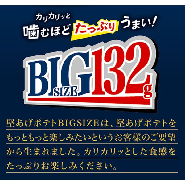スナック菓子 堅あげポテト うすしお味BIG 132g 1セット（1個×6