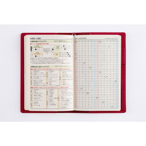 高橋書店 【2026年版】ティーズビュー日曜始まり4 手帳判 見開き1週間