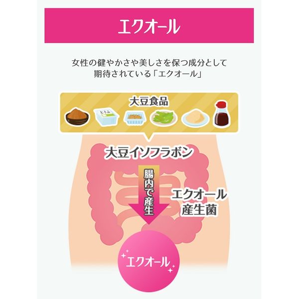 命の母 エクオールと和漢のサプリ エクオール 高麗人参 ケイヒ 生姜 60粒×2袋 約40日分 小林製薬 サプリメント