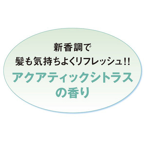 シーブリーズ リンスインシャンプー 詰め替え用 特大 1L 2個 ファイン 