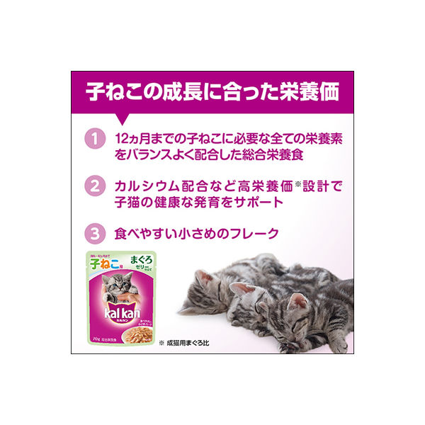 カルカン（kalkan）子ねこ用 まぐろ 70g 160袋 キャットフード