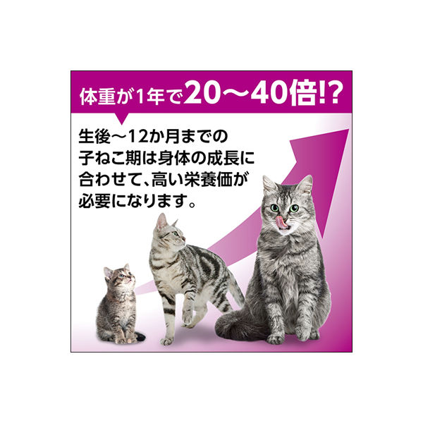 カルカン（kalkan）子ねこ用 まぐろ 70g 16袋 キャットフード ウェット