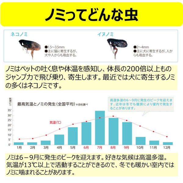 アース 電子ノミとりホイホイ 替シート 1個（3枚入） - アスクル