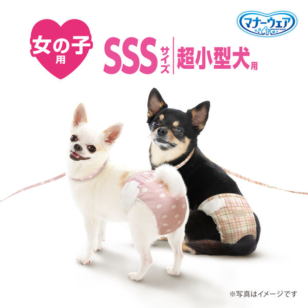 マナーウェア 女の子用 超小型犬用 SSSサイズ - ペットフード