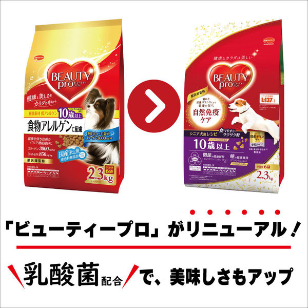 ビューティープロ　1歳　10袋 日本ペットフード ビューティープロ キャット 猫下部尿路の健康