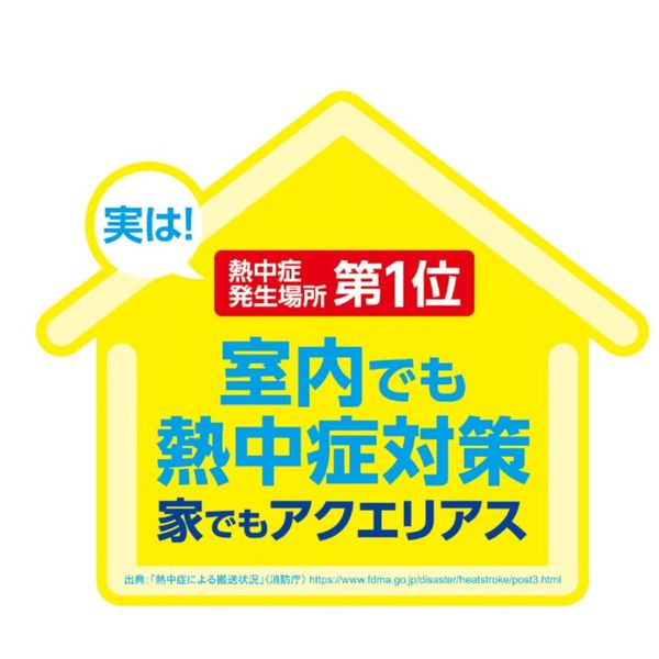 アクエリアス 1日分のマルチビタミン 1L用 パウダー（粉末）1セット