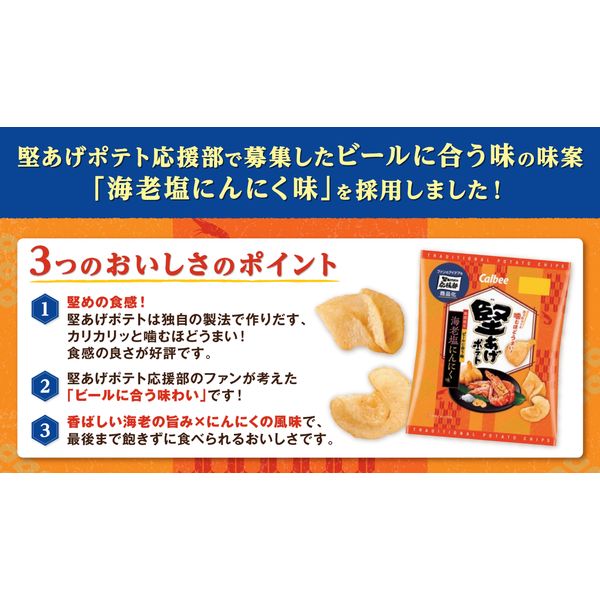 ポテトチップス スナック菓子 堅あげポテト 海老塩にんにく味