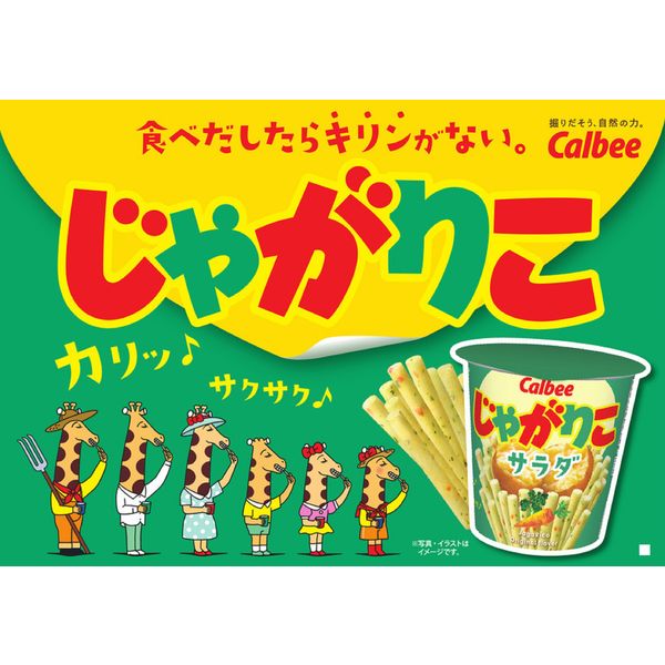 スナック菓子 食べきりサイズ じゃがりこサラダbits 大モリ 100g