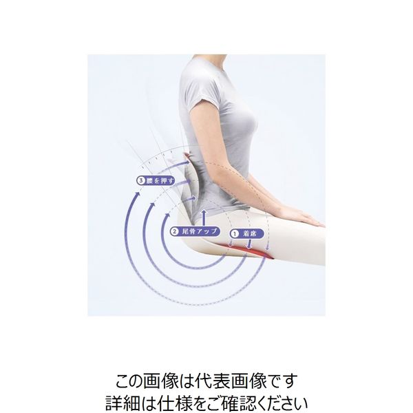 SIGNET シグネット 骨盤矯正 腰痛サポート 作業用シートクッション