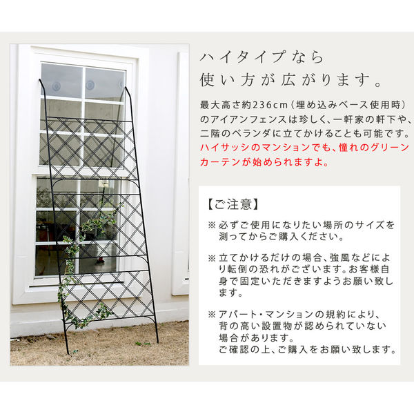 ランキング2025 住まいスタイル ”Argyle アイアン製グリーンカーテン ダイニングテーブル