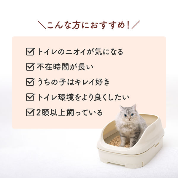 ニャンとも清潔トイレ 脱臭 抗菌シート 18枚入り×4袋　２箱 Amazon | 花王 ニャンとも清潔トイレ 脱臭・抗菌シート お徳用 8