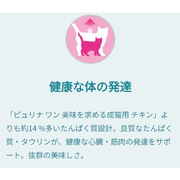 ネスレ　ピュリナワン　美味を求める成猫用　チキン　2Kg 6袋 セット品）ピュリナワン 猫 美味を求める成猫用 1歳以上 チキン