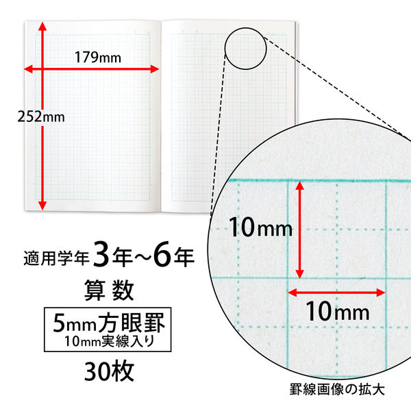 ムーミン学習帳 算数 5mm方眼罫 セミB5 アピカ LUS10MT