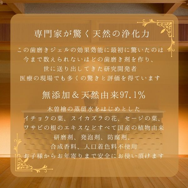 歯磨き粉 木曽檜 歯磨きジェル 天然素材 口臭予防 発泡剤不使用 30g 1