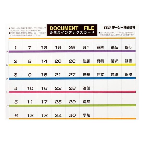 テージー ドキュメントファイルのびーる２ FD-247-17 クリア 2冊（直送