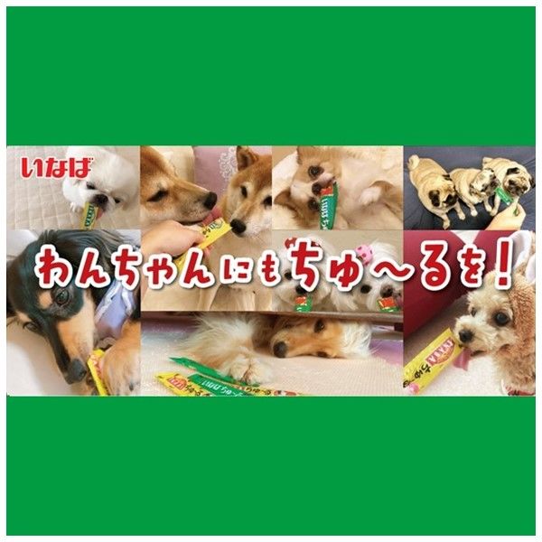 【訳あり大特価】4袋セット（320本） 犬用ちゅーる　総合栄養食バラエティ 2種 訳あり大特価】4袋セット（320本） 犬用ちゅーる総合栄養食