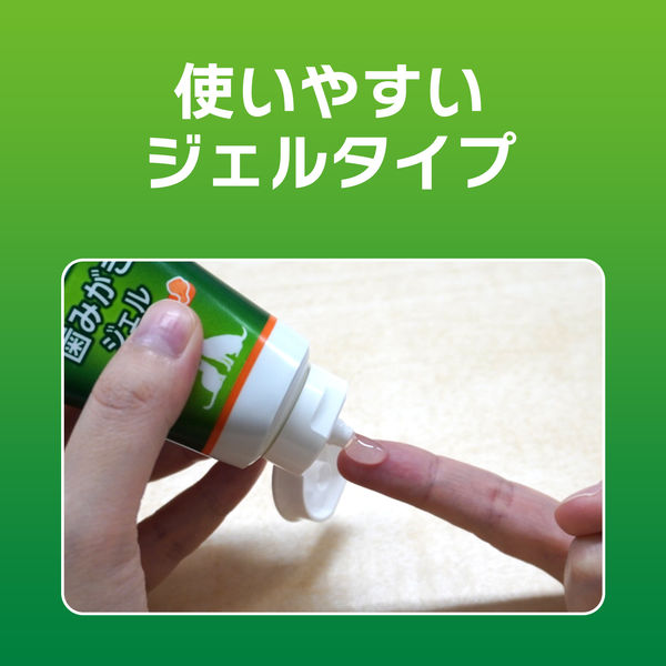 歯みがきジェル ペットキッス（PETKISS）犬猫用 アップルの香