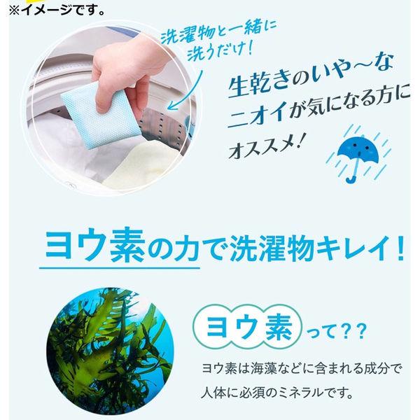 ビッグバイオ ヨウ素DEスッキリ 洗濯用除菌剤 1個入