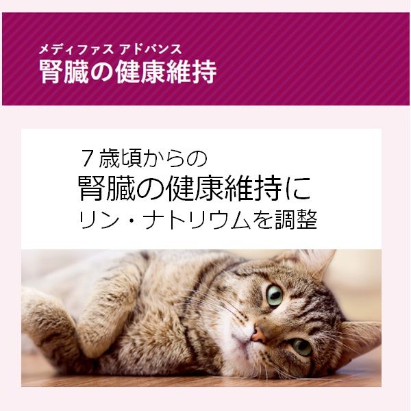 メディファスアドバンス 猫 腎臓の健康維持 7歳頃から チキン味 国産